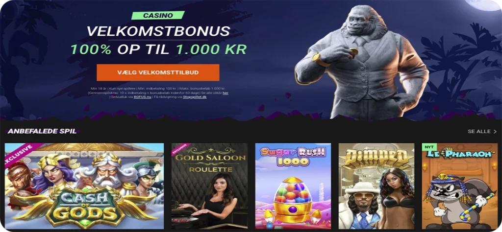 Betinia Casino Platform